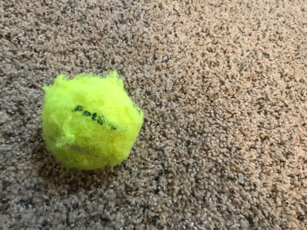 dog chewed tennis ball